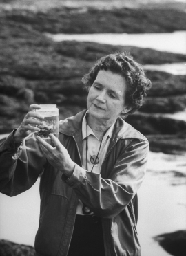 Rachel Carson