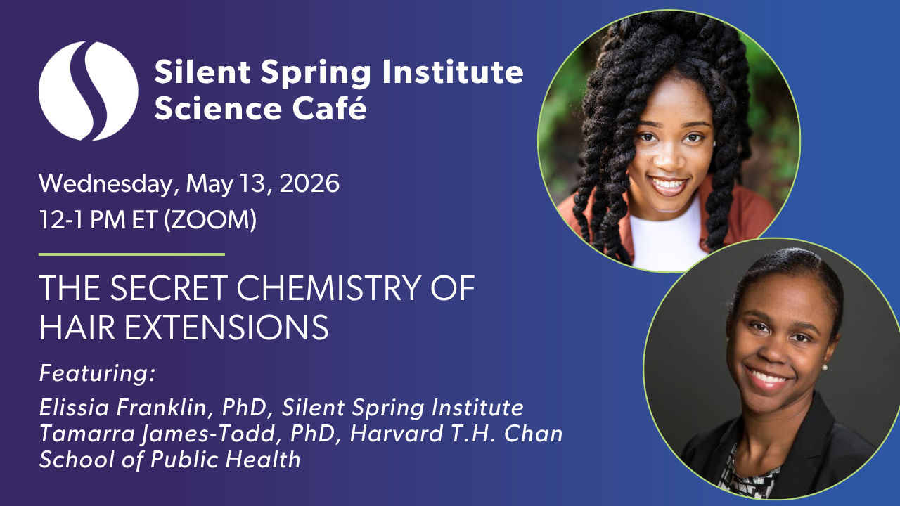 web header: Secret chemistry of hair extensions