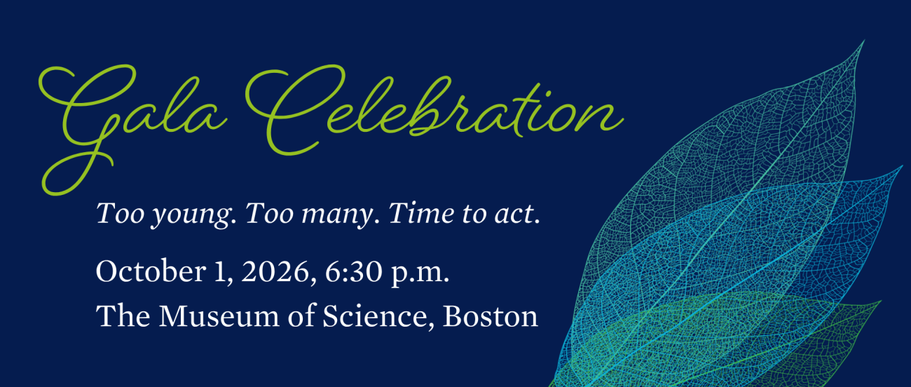 Gala Celebration 2026 header