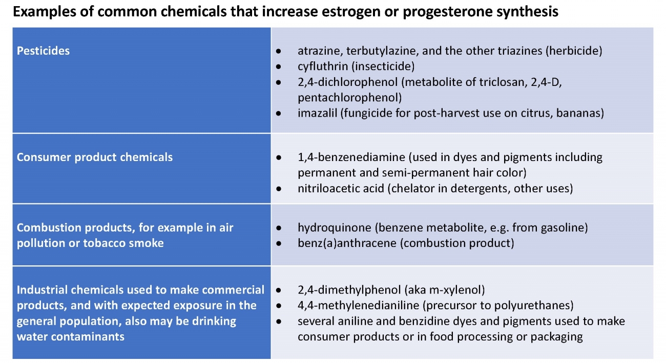 chemicals and breast cancer risk