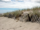 Cape Cod beach