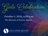 Gala Celebration 2026